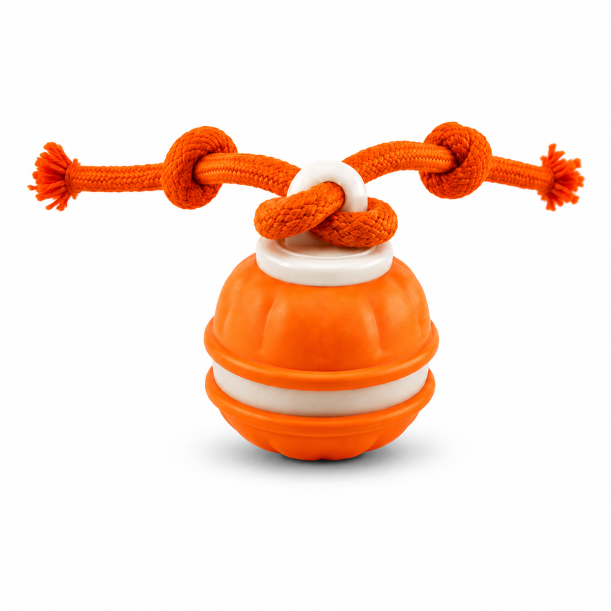 Smart Rolling Tug Toy