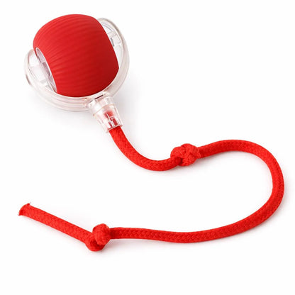 Smart Rolling Tug Toy